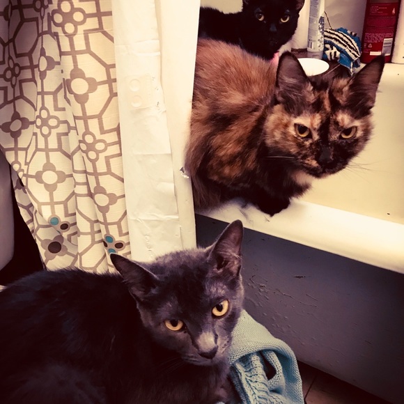 Meet your Posher, KD from NOLA. - Picture 11 of 16